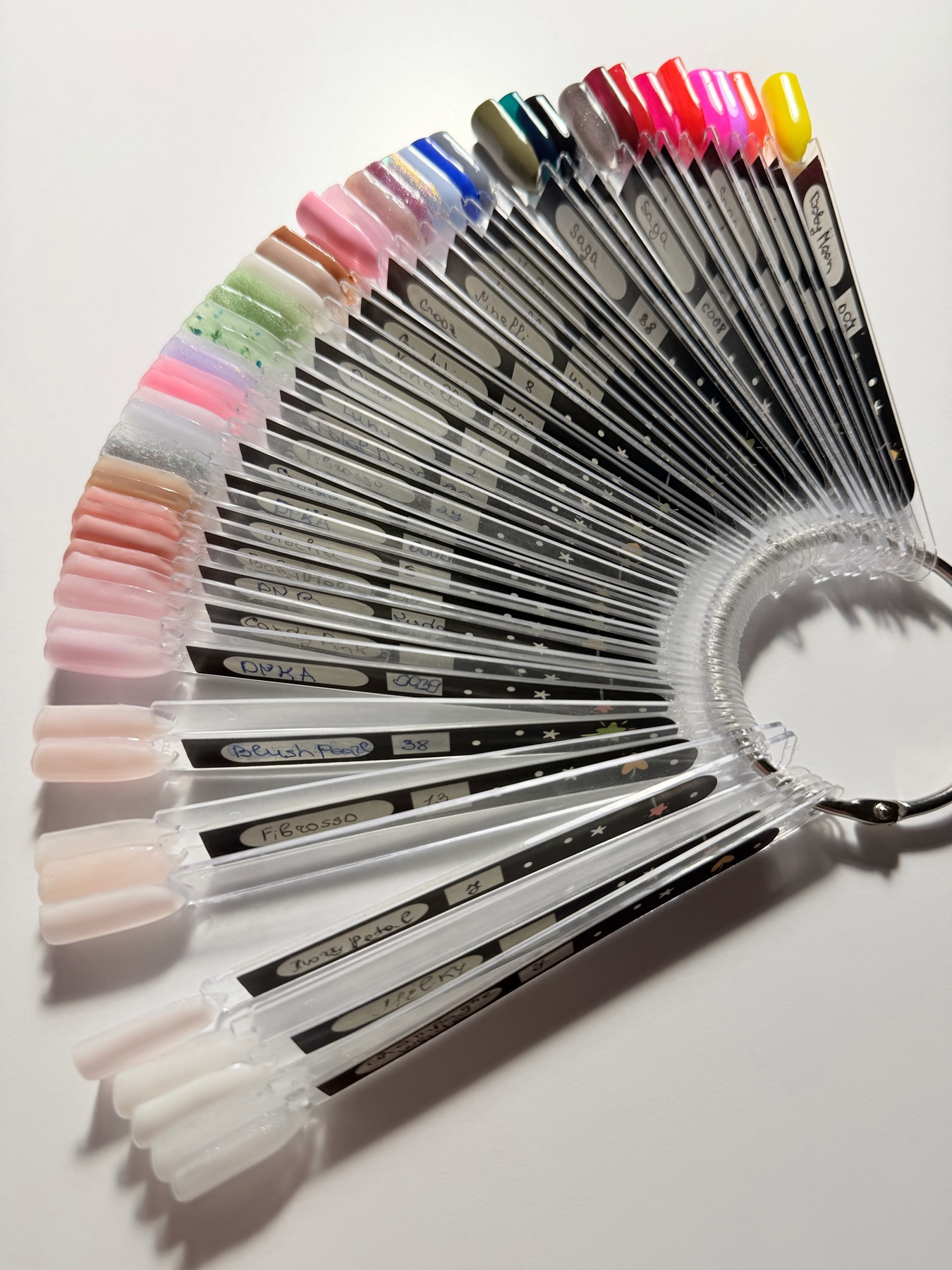 Paleta fotografiată în studio
